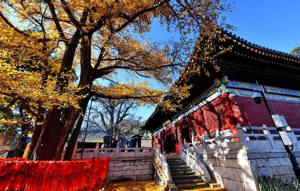 京城十二座著名古寺，祈求什么最灵验？赶紧看过来！
