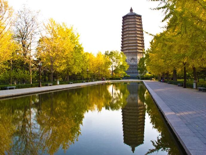 北京这几个公园一到春天就美得不像话，一起去踏青啦！